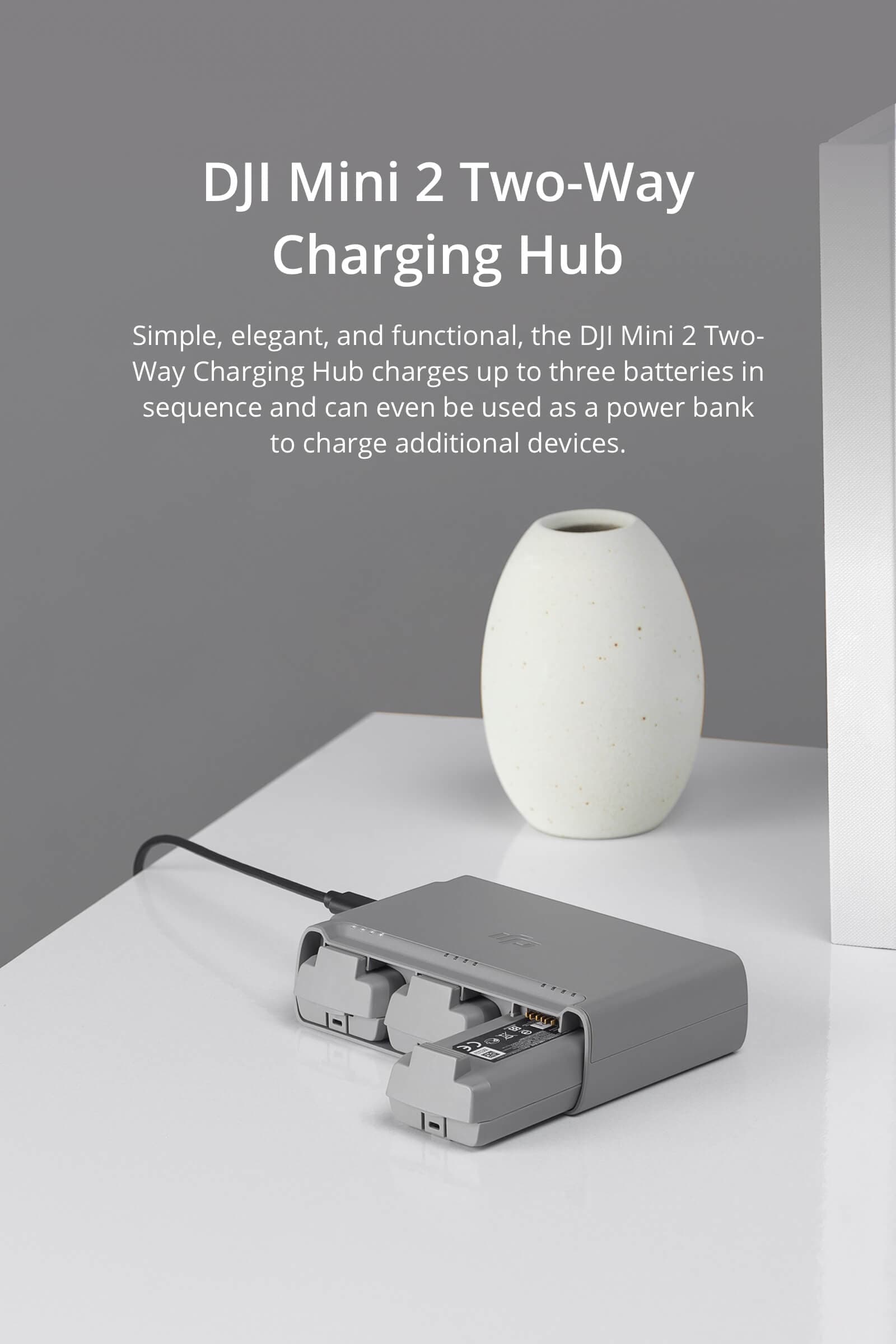 Mini 2 SE Charging Hub