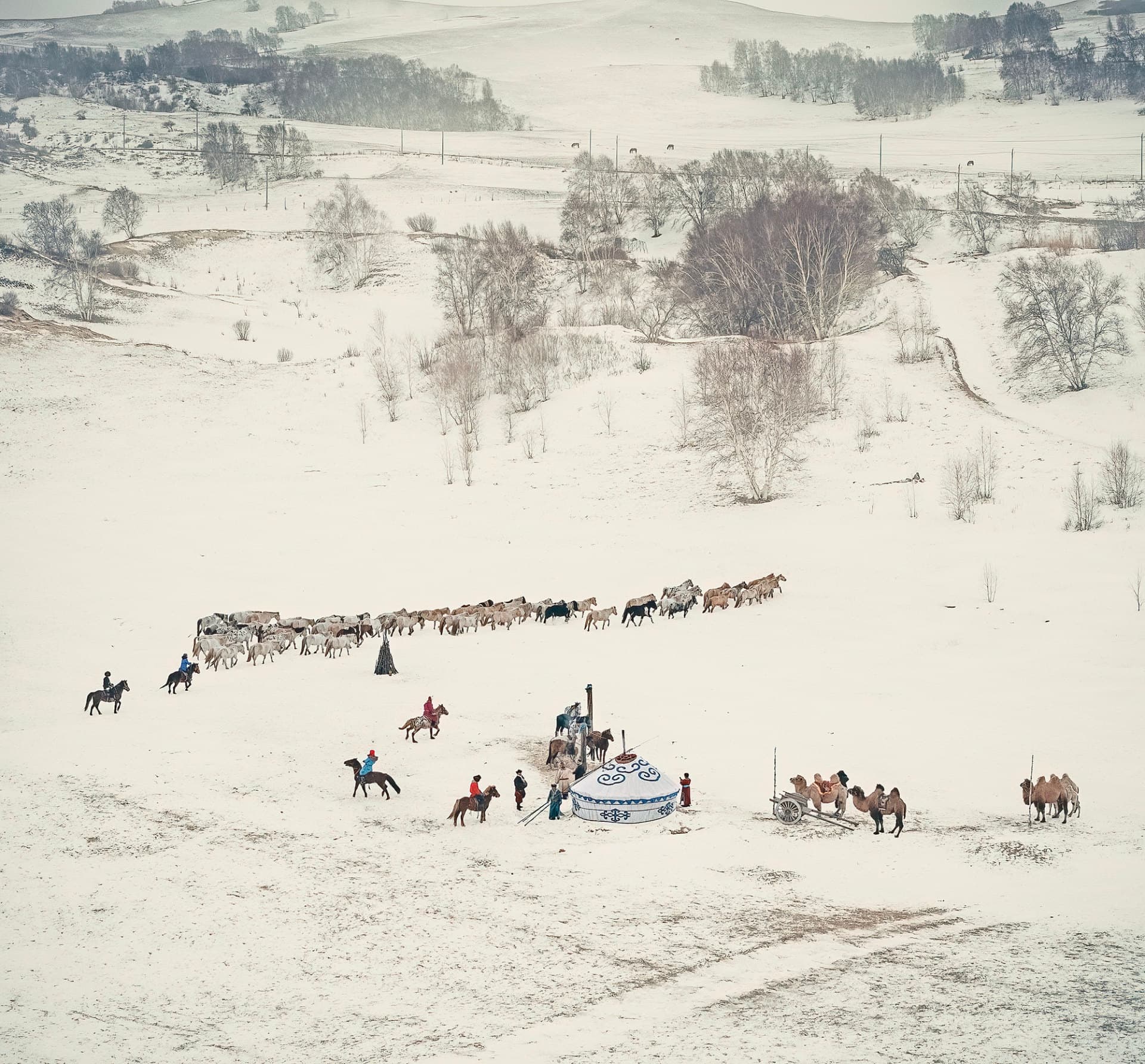 Daolai: Grasslands of Inner Mongolia