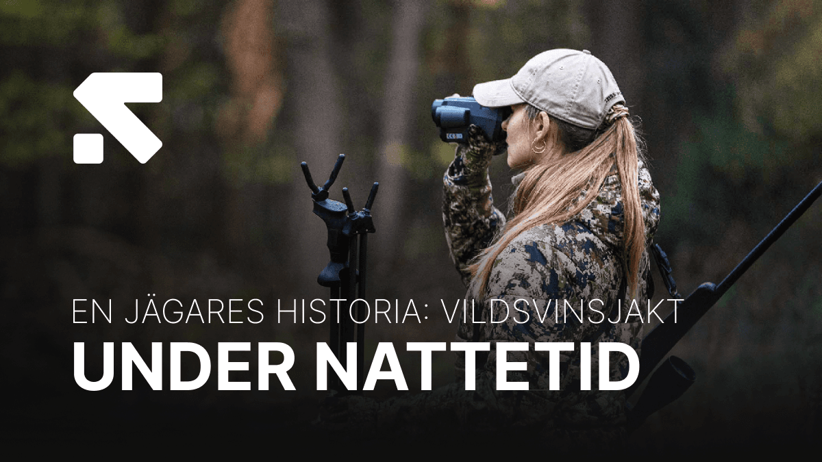 Vildsvinsjakt i Sverige under nattetid - En jägares historia