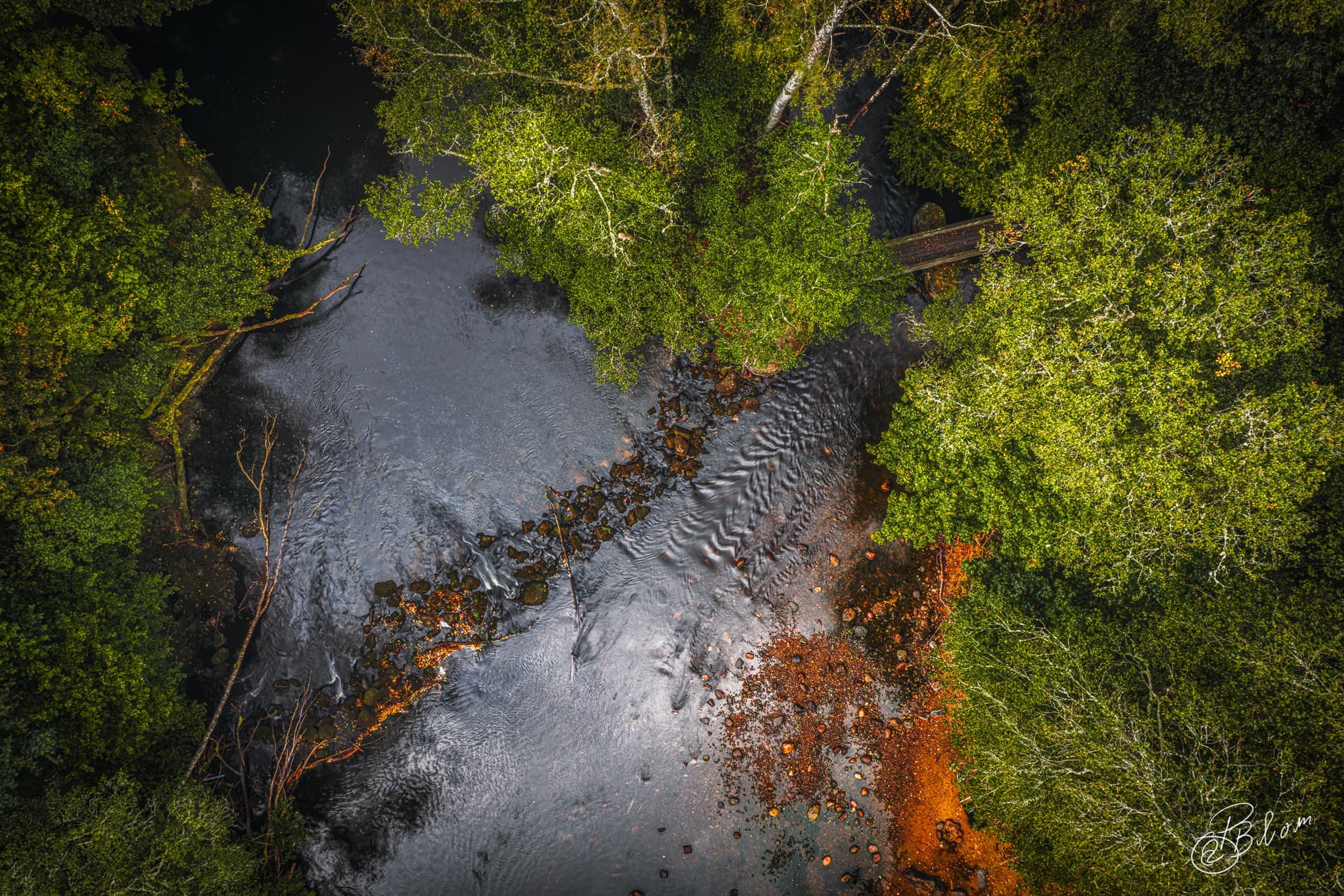 Flygbild av en flod som slingrar sig genom en tät skog, med grönskande träd och stenar som bryter vattenytan.