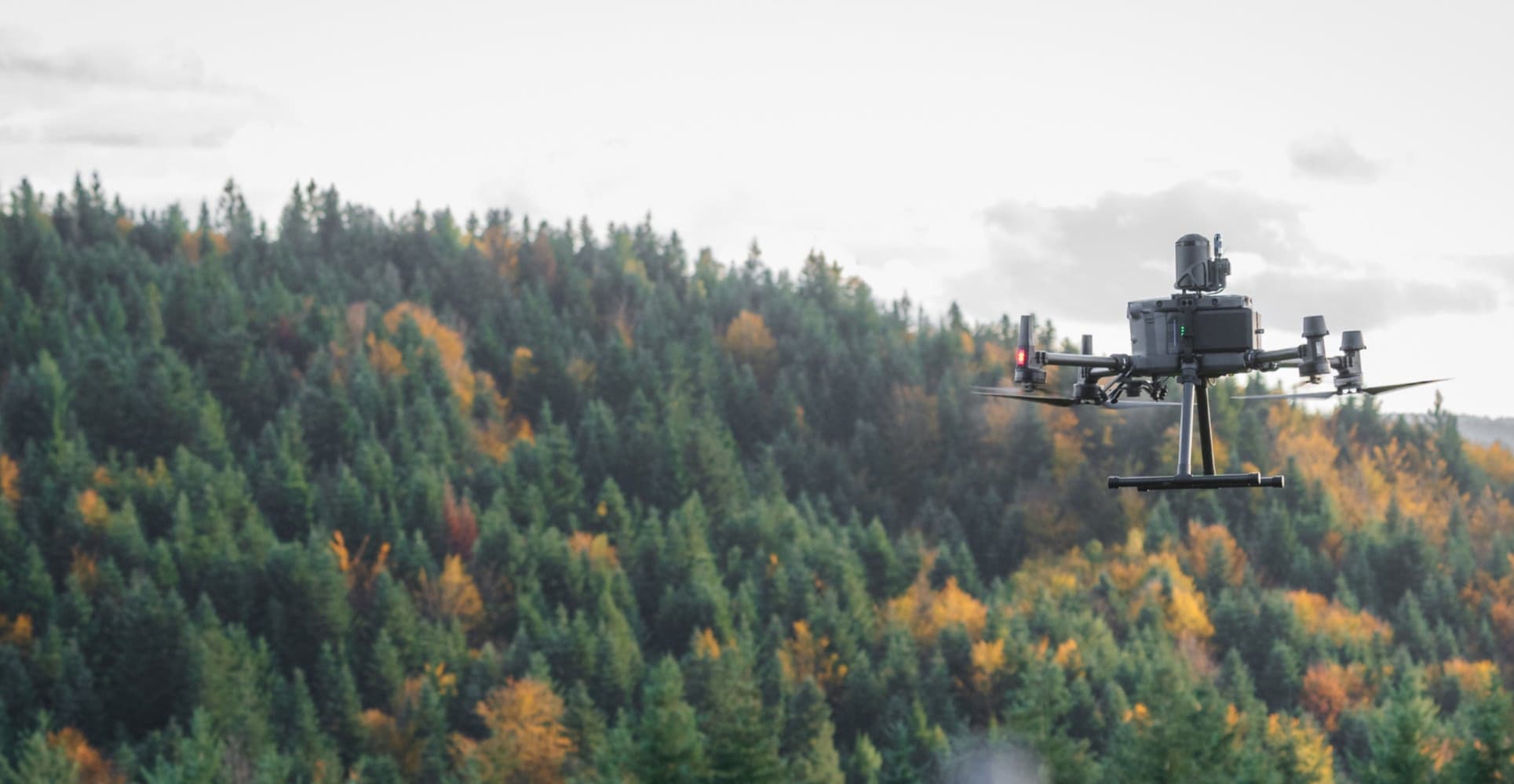 "En drönare svävar över en skog med höstfärgade träd, mot en bakgrund av tät grönska."