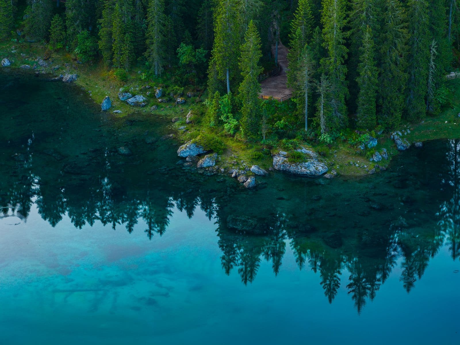 Drönarfoto taget med DJI Mavic 4 Pro: En tät skog med höga träd speglas i det klara, blå vattnet vid en sjöstrand.