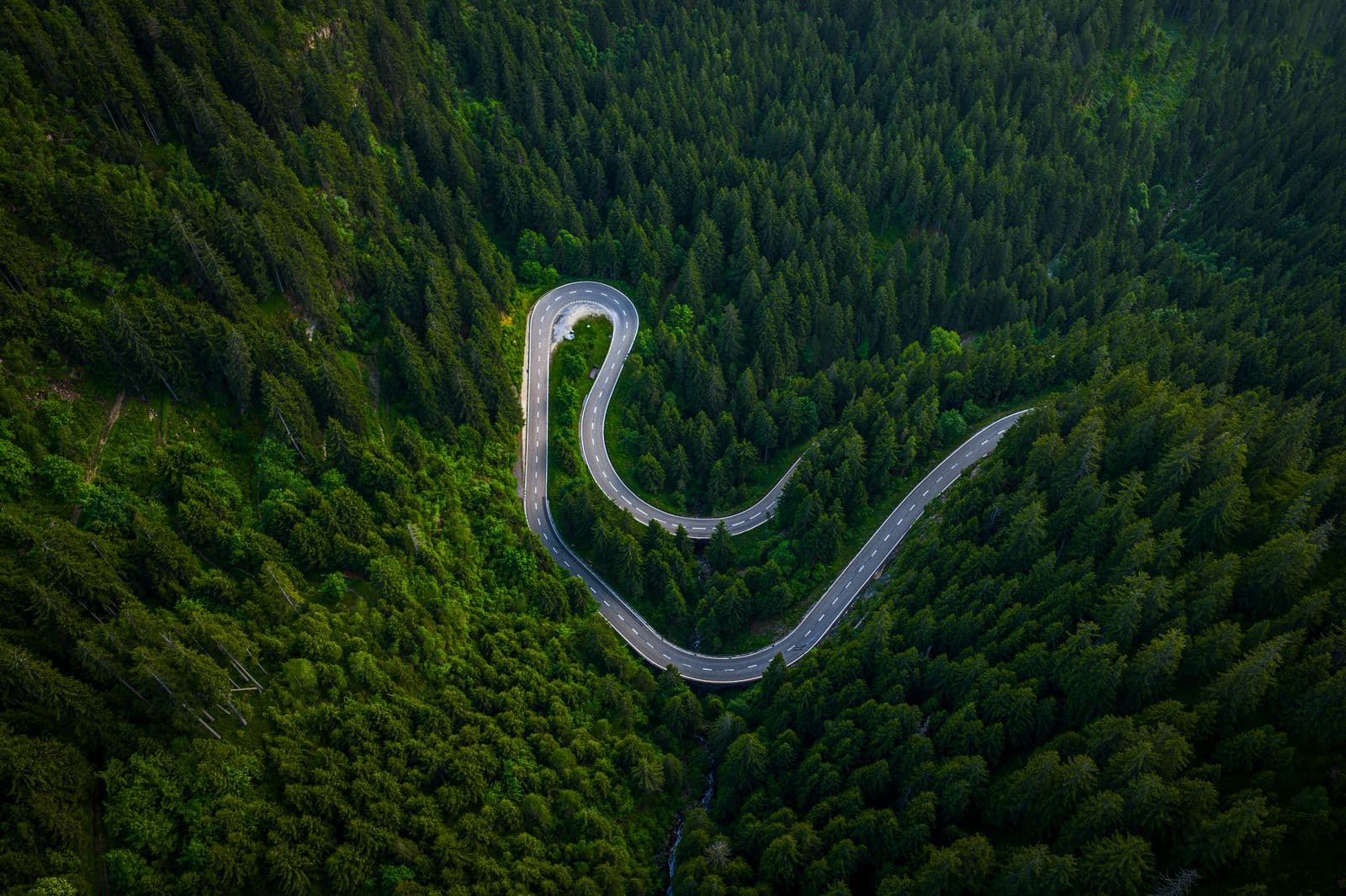 Drönarfoto taget med DJI Mavic 4 Pro: En slingrande väg skär genom en tät skog, omgiven av frodig grönska och höga träd.